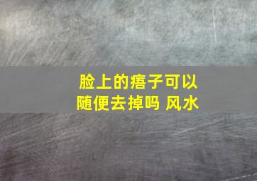 脸上的痦子可以随便去掉吗 风水